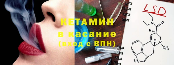 индика Алексин