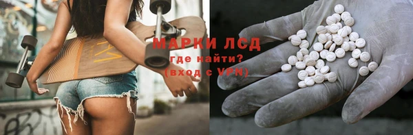 индика Алексин