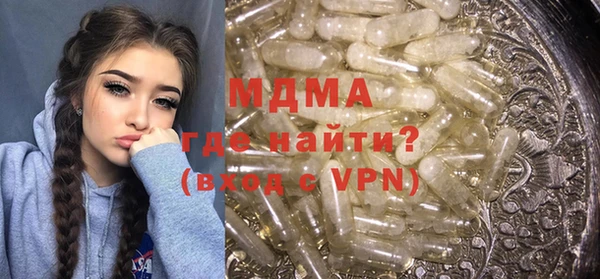 индика Алексин