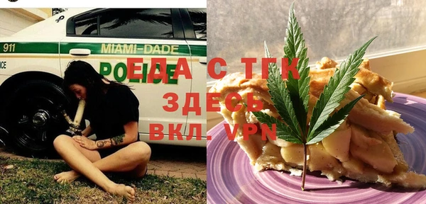 индика Алексин
