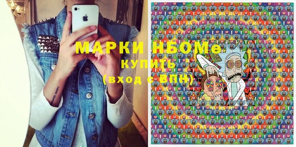 индика Алексин