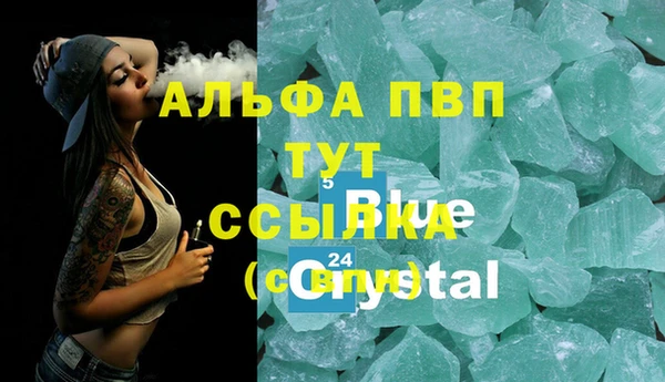 индика Алексин