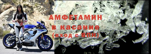 индика Алексин
