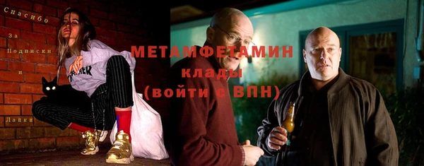 индика Алексин