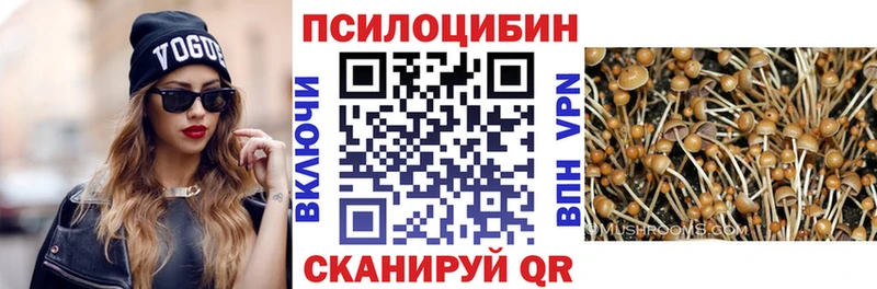 Псилоцибиновые грибы Cubensis  hydra онион  Дзержинский 