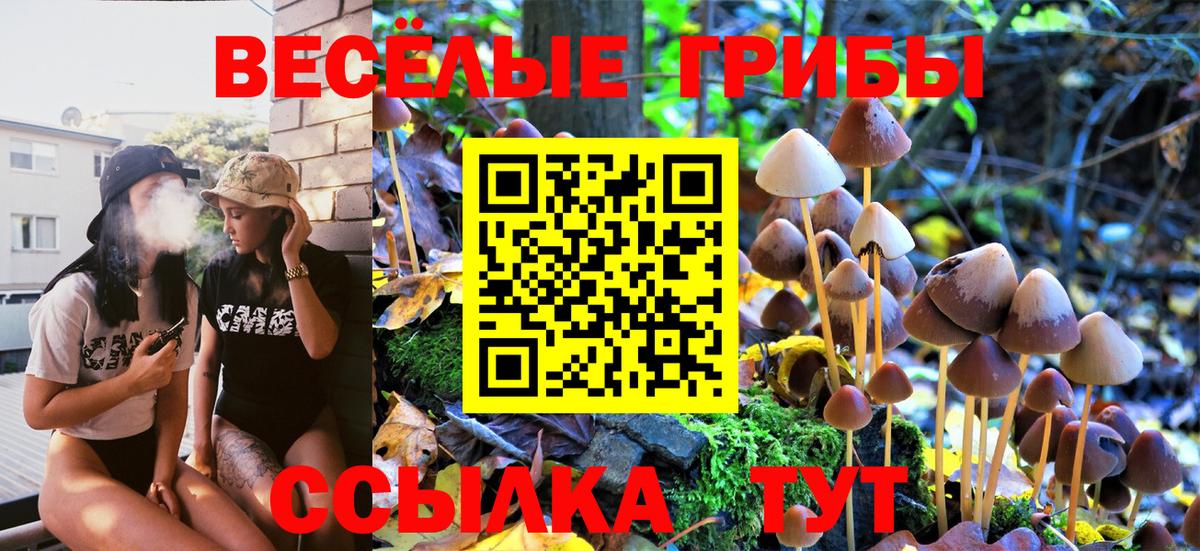Галлюциногенные грибы мицелий Дзержинский